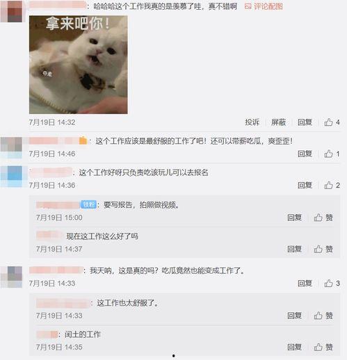 月薪吃瓜
